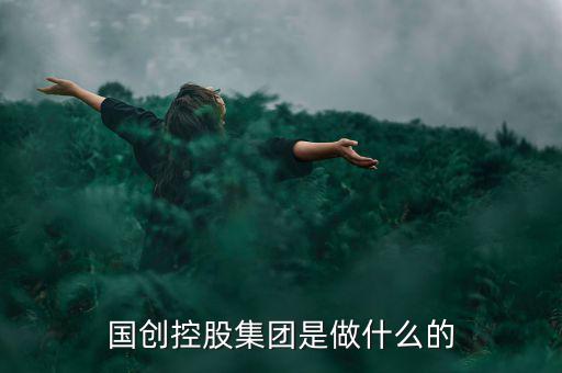 國創控股集團是做什么的