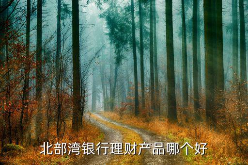 廣西省什么銀行理財產(chǎn)品好，在南寧哪家銀行的理財產(chǎn)品最好