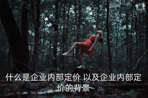 企業定價權表現于什么，什么是企業內部定價 以及企業內部定價的背景