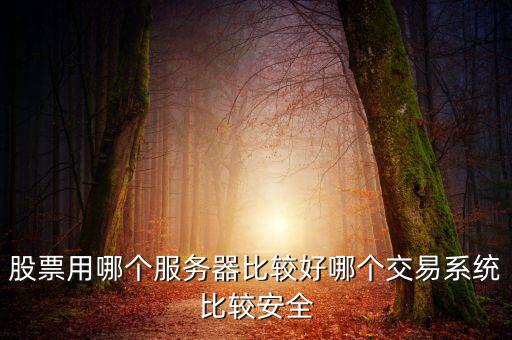 股票用哪個服務器比較好哪個交易系統比較安全