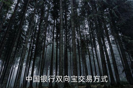 中國銀行雙向寶是什么，中國銀行雙向寶業務詳細介紹