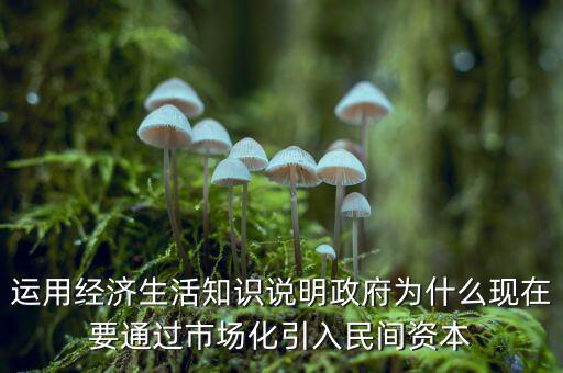 運用經濟生活知識說明政府為什么現在要通過市場化引入民間資本