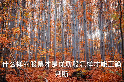 什么樣的股票才是優質股怎樣才能正確判斷