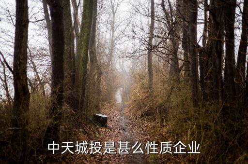 中天城投是什么概念，中天城投在這么些年的發展中涉及了哪些行業