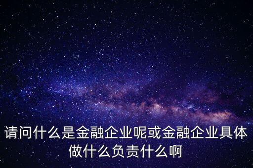 請問什么是金融企業(yè)呢或金融企業(yè)具體做什么負責什么啊