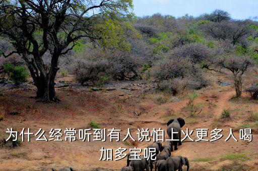 為什么經常聽到有人說怕上火更多人喝加多寶呢