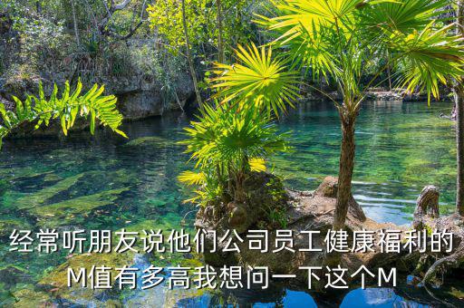 經常聽朋友說他們公司員工健康福利的M值有多高我想問一下這個M