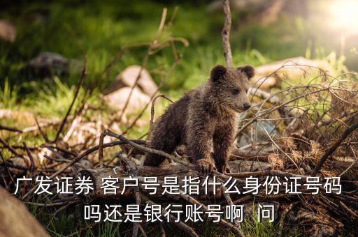 廣發證券開戶編號是什么，廣發證券 客戶編號 是什么