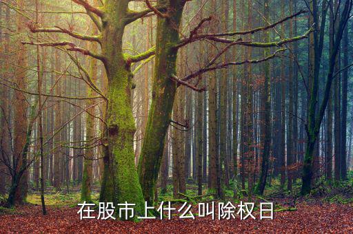 什么叫股票除權日，什么是股票除權息的登記日