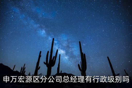 申萬宏源區分公司總經理有行政級別嗎