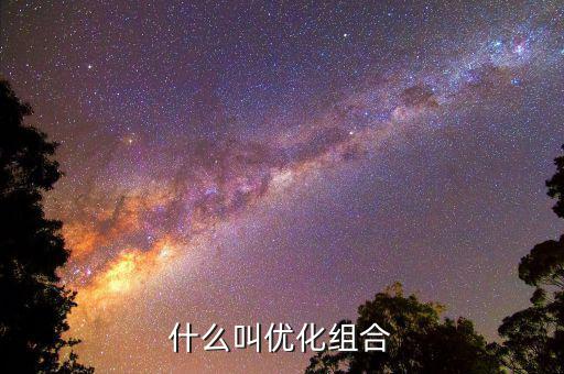 什么叫優化組合