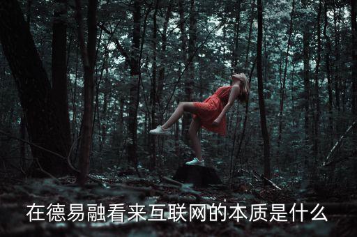 在德易融看來互聯(lián)網(wǎng)的本質是什么