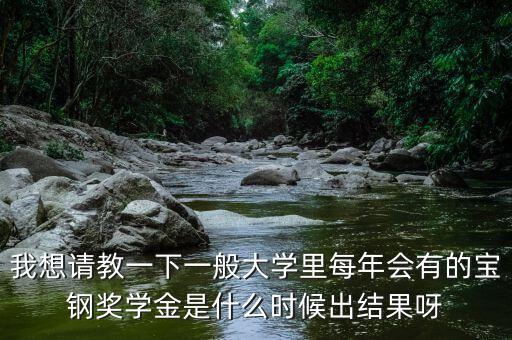 我想請教一下一般大學里每年會有的寶鋼獎學金是什么時候出結果呀