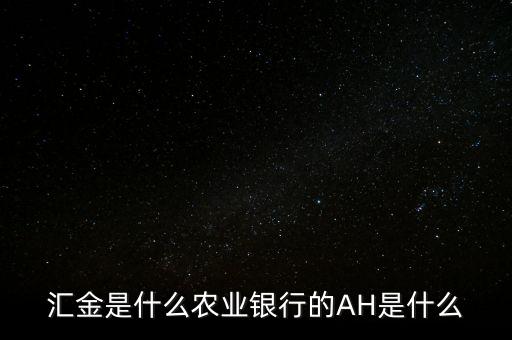 匯金是什么農業銀行的AH是什么