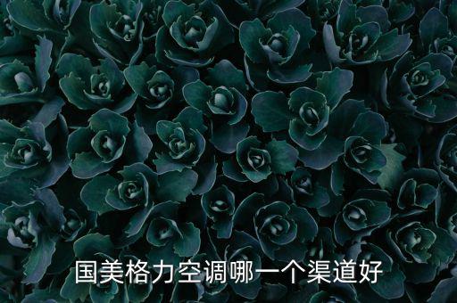國美格力空調哪一個渠道好