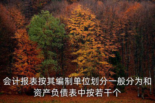 會計報表按其編制單位劃分一般分為和資產負債表中按若干個