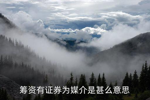 沒有以證券為媒介什么意思，籌資有證券為媒介是甚么意思