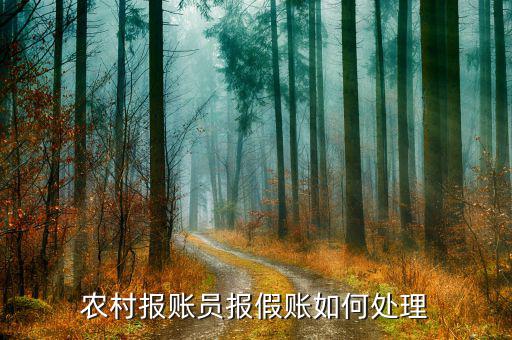 村里面報賬員報假賬有什么后果，農村報賬員報假賬如何處理