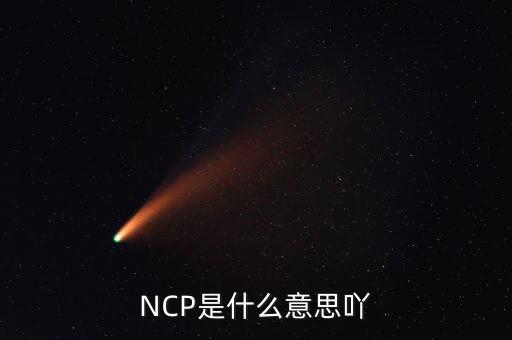 可比企業ncp是什么簡稱，NCP是什么意思吖