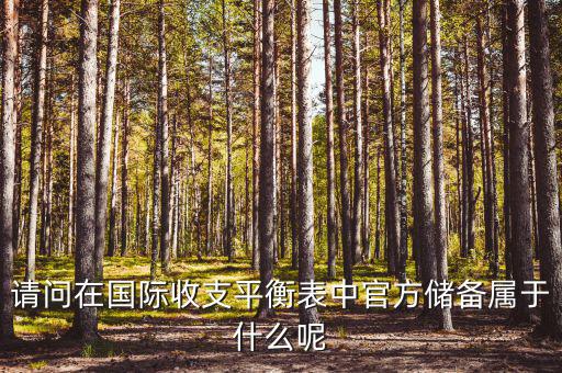 官方儲備資產包括什么，官方儲備資產包括固定資產嗎