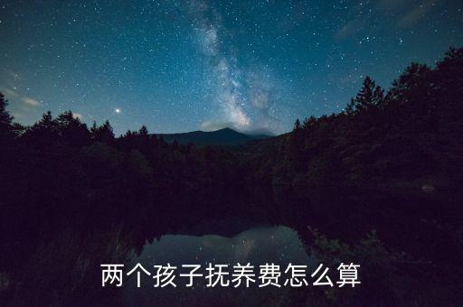 兩個孩子撫養費怎么算