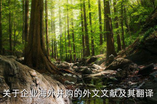 關于企業海外并購的外文文獻及其翻譯