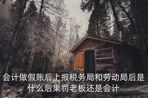 會計做假賬后上報稅務局和勞動局后是什么后果罰老板還是會計