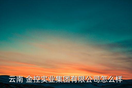 云南 金控實業集團有限公司怎么樣