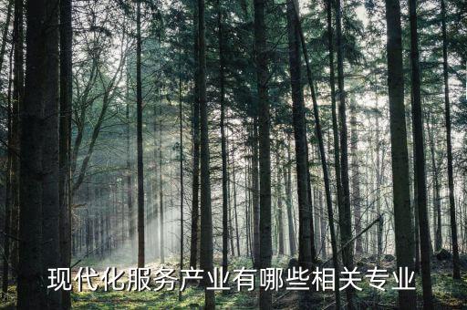 現代化服務產業有哪些相關專業