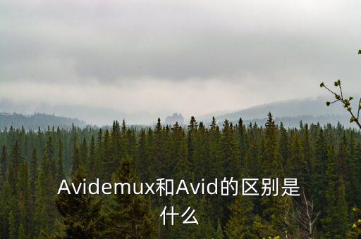 Avidemux和Avid的區別是什么