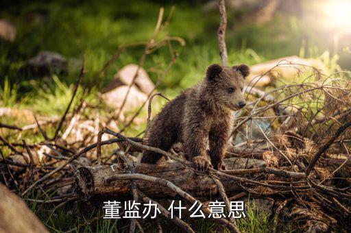 什么是董監事會，董監辦 什么意思