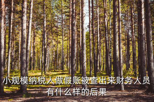 小規模納稅人做假賬被查出來財務人員有什么樣的后果