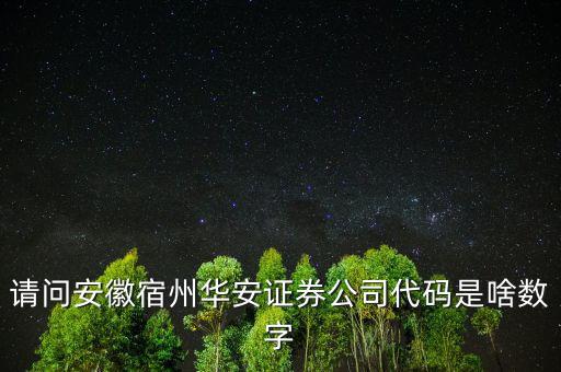 請問安徽宿州華安證券公司代碼是啥數字