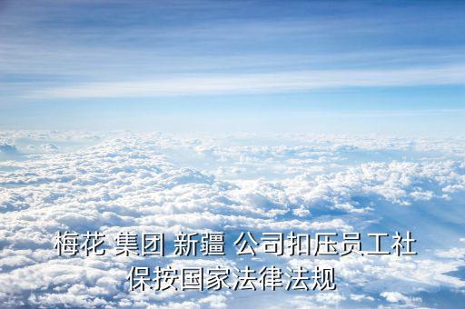  梅花 集團 新疆 公司扣壓員工社保按國家法律法規