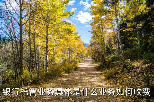 銀行托管業(yè)務(wù)具體是什么業(yè)務(wù)如何收費