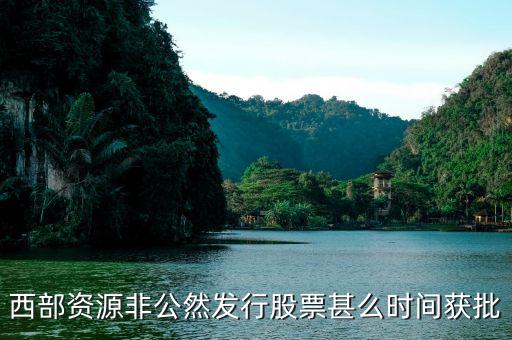 西部資源非公然發行股票甚么時間獲批