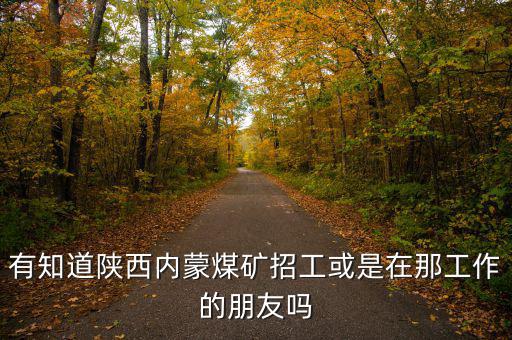 有知道陜西內蒙煤礦招工或是在那工作的朋友嗎