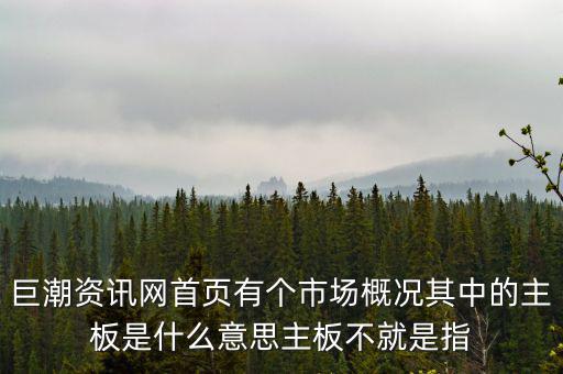 巨潮資訊網首頁有個市場概況其中的主板是什么意思主板不就是指