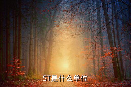 縮寫st表示什么數量單位，ST是什么單位