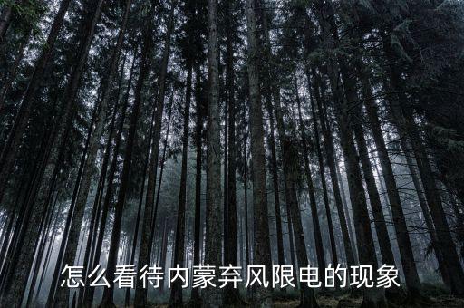 怎么看待內蒙棄風限電的現象