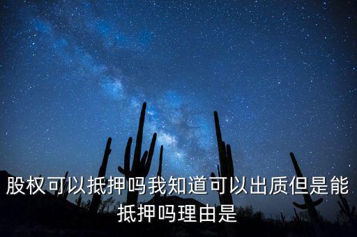 股權為什么不能抵押，股權可不可以進行抵押