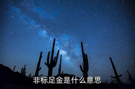 什么是金融非標產品，什么叫非標融資
