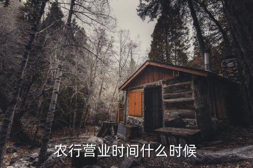 農行什么時候上班，農行上班時間