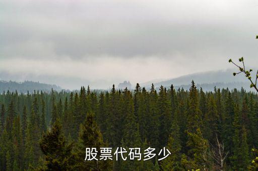 b股代碼以什么開頭，a股和b股代碼怎樣區分