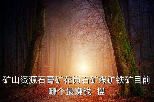 鐵礦為什么不掙錢，在內蒙古搞鐵礦賺錢嗎