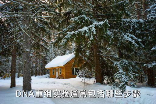 理工監測重組什么，典型的DNA重組實驗通常包括哪些步驟