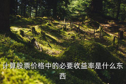 計(jì)算股票價格中的必要收益率是什么東西