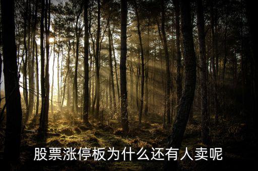 為什么已經(jīng)漲停的股票那么多人買，當(dāng)天漲停的股票為什么還有那么多人買入跟進(jìn)呢