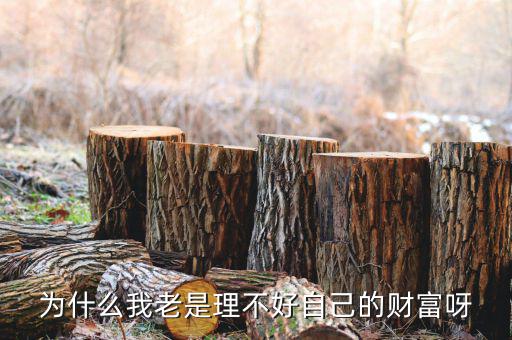 財富為什么不好說說理由，我幫別人回答問題為什么說財富不足