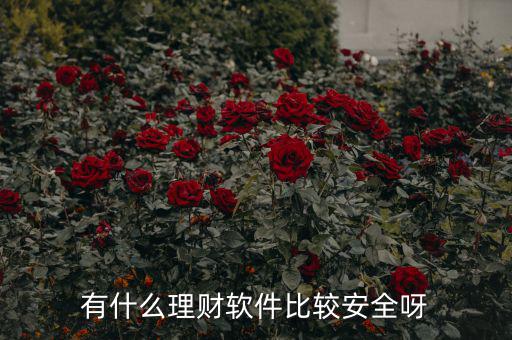 有什么理財(cái)軟件比較安全呀